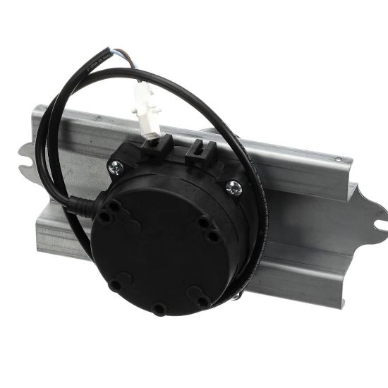 Picture of Grindmaster Cecilware 231-00381 Pump Motor Single 120/250V 300