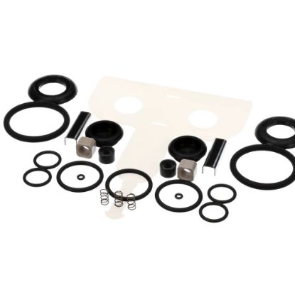 Picture of Grindmaster Cecilware DV-1870 Dca Group Rebuild Kit