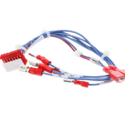 Picture of Groen 123120 Harness Timer Motor Hy- 3E