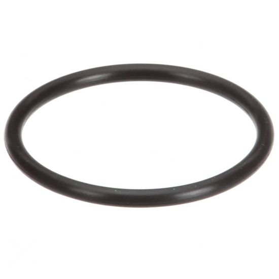 Picture of Groen 133711 O-ring For Pump Seal
