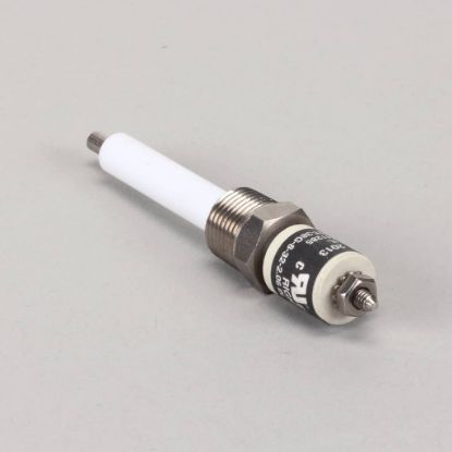 Picture of Groen 141285 Water Level Electrode 3/8 Mpt
