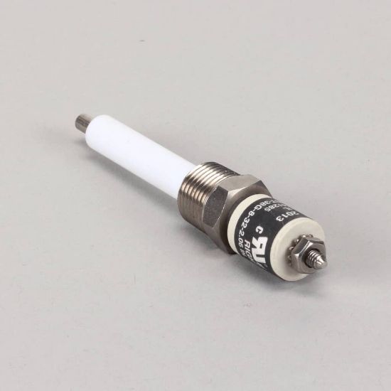 Picture of Groen 141285 Water Level Electrode 3/8 Mpt