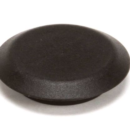 Picture of Groen 146369 Hole Plug-1-inch