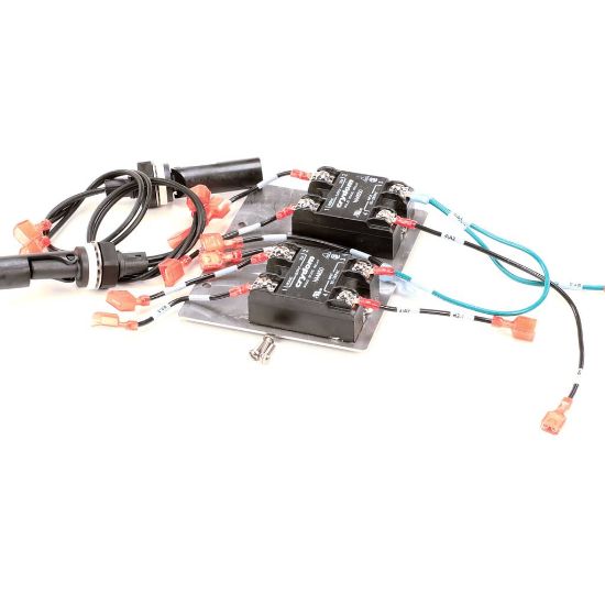 Picture of Groen 176850 Service Kit Cd Float Probe And Ssr