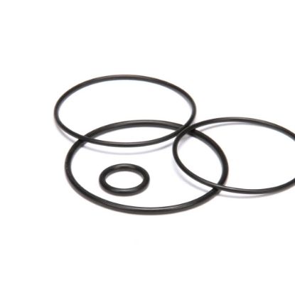Picture of Groen N56697 Kit O Ring Replacement