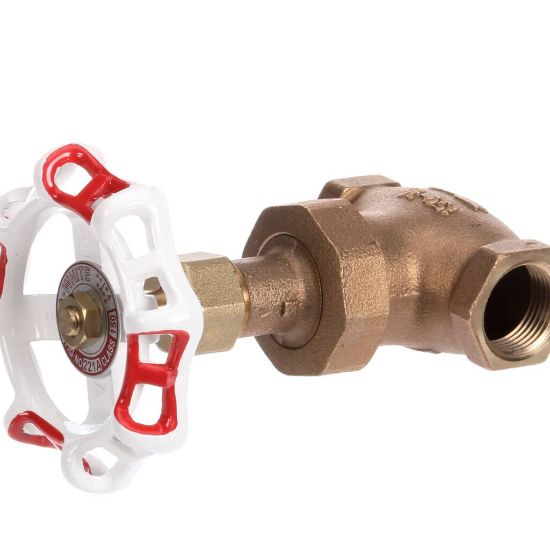 Picture of Groen Z004222 Valve Globe 3/4-Inch Npt Ham Mond