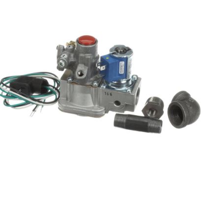Picture of Groen Z097001 Valve 1/2-Inch X 3/4-Inch 120V