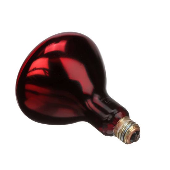 Picture of Hatco 02.30.068.00 Infra-red Lamp (Red)120v 250W For - Part# 02.30.068.00