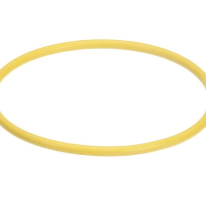 Picture of Hatco 03.05.061B.00 Watertreat Rep O-ring Scaltrol
