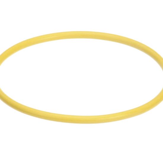 Picture of Hatco 03.05.061B.00 Watertreat Rep O-ring Scaltrol