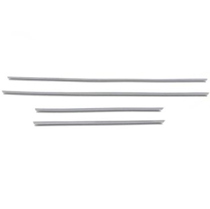 Picture of Hatco R00.01.0122.00 Kit,door Gasket-w/a-fst-as.220