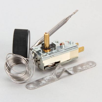 Picture of Hatco R02.16.046.00 Thermostat