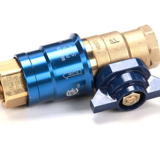 Picture of Henny Penny 160329 Valve 1 Npt-qdisc Dormont