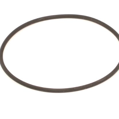 Picture of Henny Penny 162498 Pump Gasket