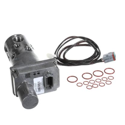 Picture of Henny Penny 170144-001 Svc Pack-eeg 10 Port Sel Valve