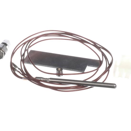 Picture of Henny Penny 66244 Probe Assy Fast 392/692