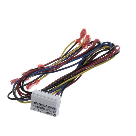 Picture of Henny Penny 75904 Harn-c1000-2000 Ssi Output