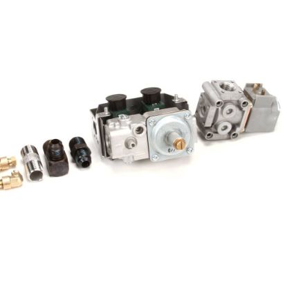 Picture of Henny Penny 87663-107 Svc-pack Assembly G V Fw Lp Ce Lvg