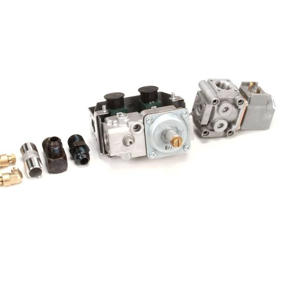 Picture of Henny Penny 87663-107 Svc-pack Assembly G V Fw Lp Ce Lvg