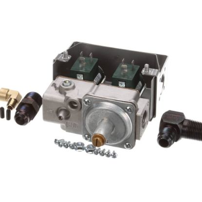 Picture of Henny Penny 87663-104 Svc-pack Assembly Gas V Sw Lp Lvg