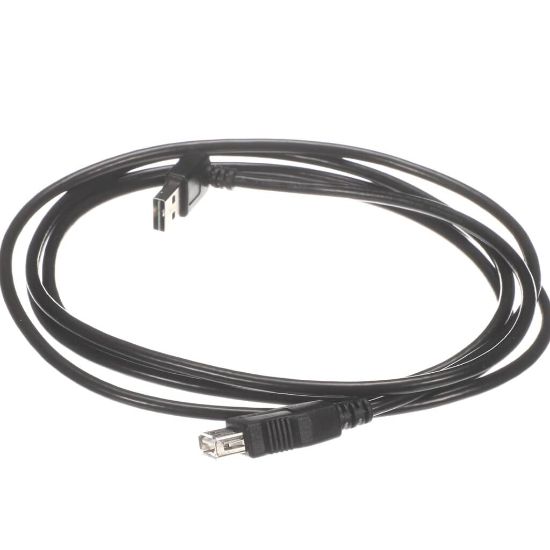 Picture of Henny Penny MM10017409 Usb Cable 2.0 2000 Length