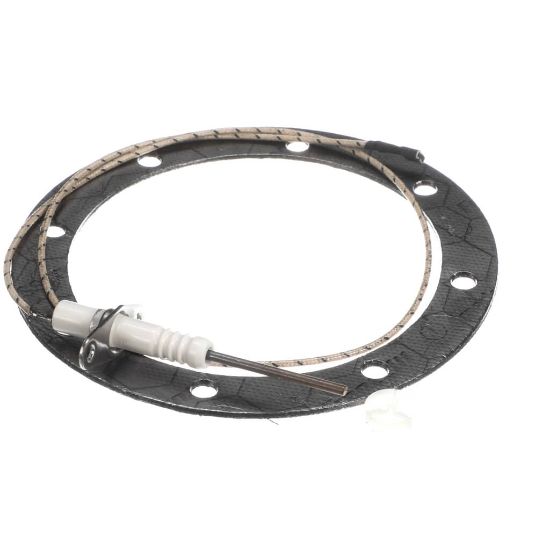 Picture of Henny Penny MM201177 Flame Sensor