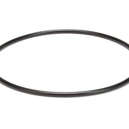 Picture of Hobart 00-476738-00009 O Ring,suction Flange