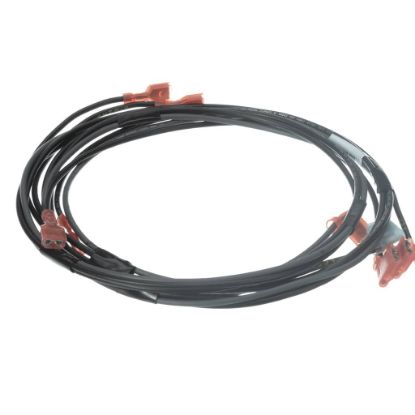 Picture of Hobart 00-941882 Harness Pump
