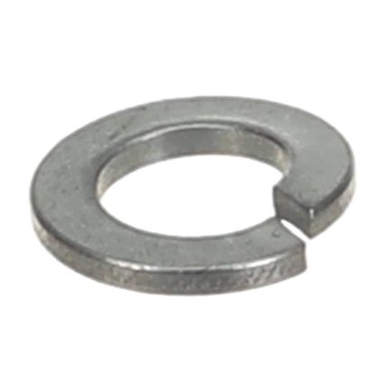 Picture of Hobart WL-003-41 Lock Washer