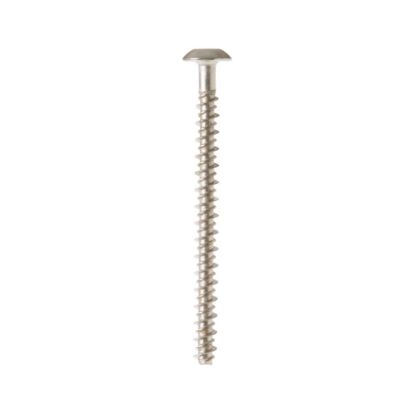 Picture of GE WB01T10067 Scr 10-16 Pl Pnt 2.5 S