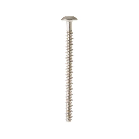 Picture of GE WB01T10067 Scr 10-16 Pl Pnt 2.5 S