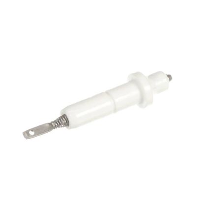 Picture of GE WB13X40448 Igniter