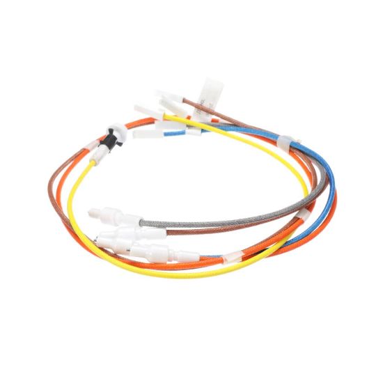 Picture of GE WB18X28729 Electrodes & Harness H. V.