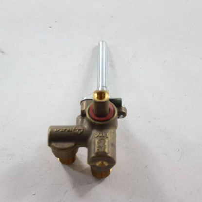 Picture of GE WB19T10087 Valve Dual