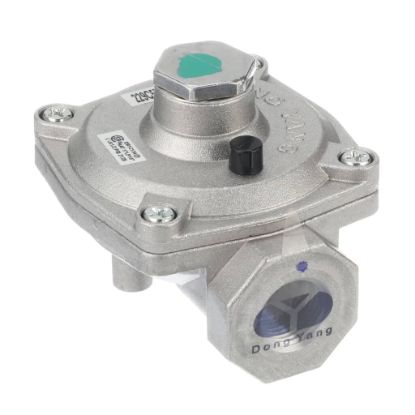 Picture of GE WB19T10089 Regulator Convert Press