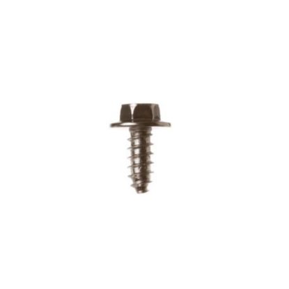 Picture of GE WB1M1 Screws
