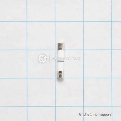 Picture of GE WB27X10928 Fuse