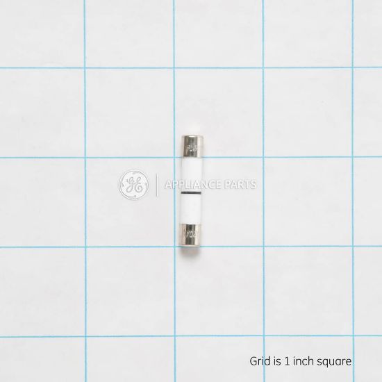 Picture of GE WB27X10928 Fuse