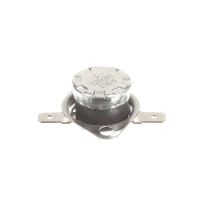 Picture of GE WB27X45108 Thermostat 120/0 *H
