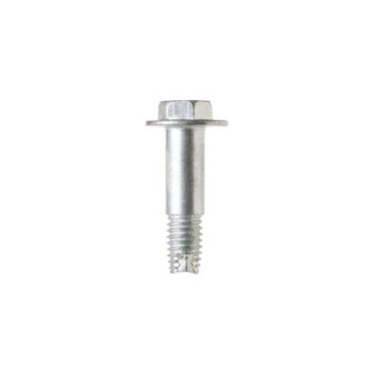 Picture of GE WD02X10206 Pulley Screw