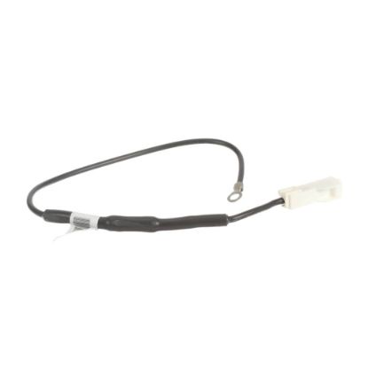 Picture of GE WE01X27782 Fuse