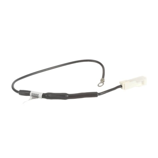 Picture of GE WE01X27782 Fuse