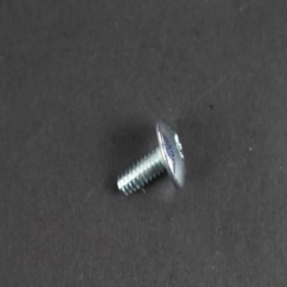 Picture of GE WE2M163 Screw #10