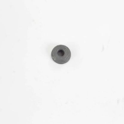 Picture of GE WH01X10101 Nut-motor