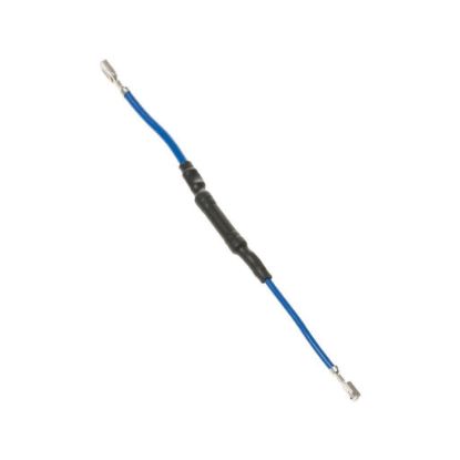 Picture of GE WP23X10042 Fuse Inline