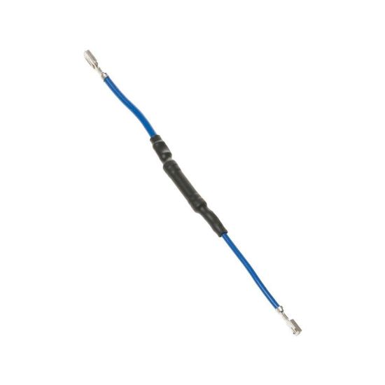 Picture of GE WP23X10042 Fuse Inline