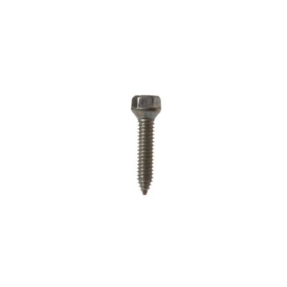 Picture of GE WR01X10631 Scr 12-24 Tt Ovt .900 S