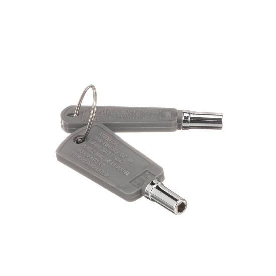 Picture of GE WR01X29793 Key Set