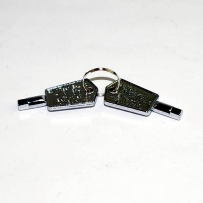 Picture of GE WR01X29917 Key -