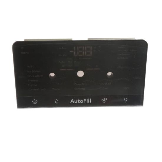 Picture of GE WR09X41171 Stainless Steel Display